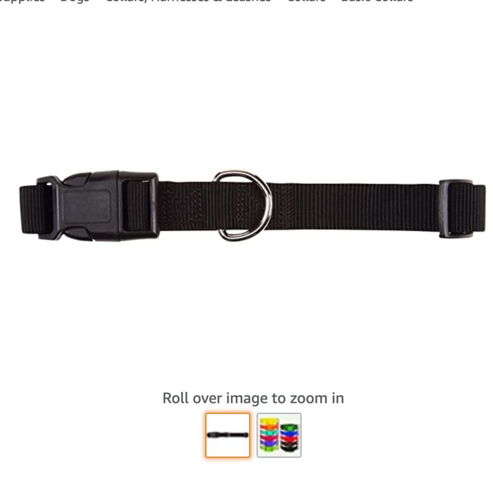 Zack & Zoey 1" Nylon Pet Collar